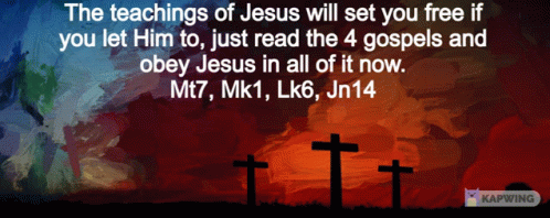 The Teachings Of Jesus Will Set You Free If You Let Him To Just Read The 4 Gospels And Obey Jesus In All Of It GIF