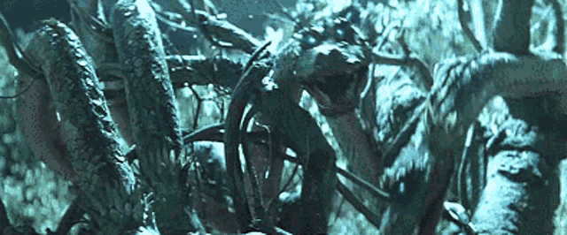 The Three Treasures The Birth Of Japan Gif GIF