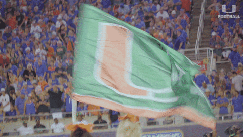 The U Green Flag Waving GIF