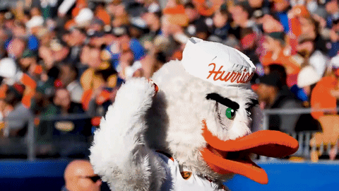The U Mascot Rubbing Head GIF