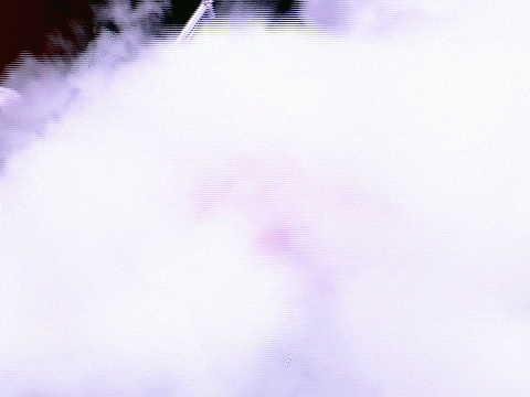 The U Mascot Running With Us Flag GIF