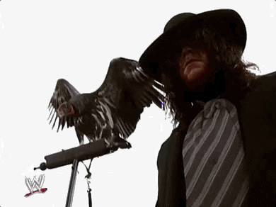 The Undertaker With Crow GIF