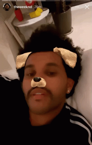 The Weeknd Dog Filter GIF