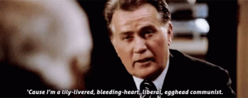 The West Wing Liberal GIF