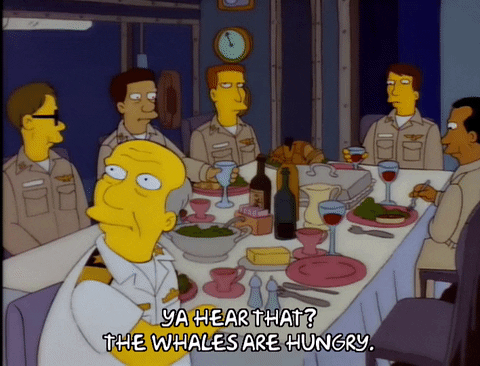 The Whale Are Hungry GIF