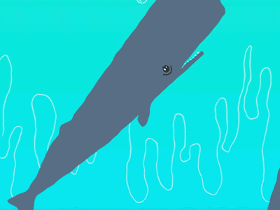 The Whale Dance GIF