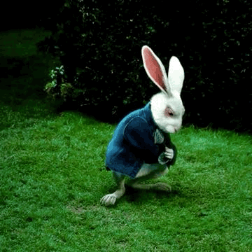 The White Rabbit From Alice In Wonderland Is Wearing A Blue Jacket And Standing In The Grass . GIF