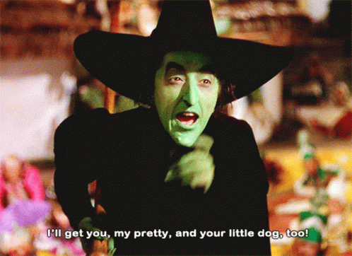 The Witch From The Wizard Of Oz Says I 'Ll Get You My Pretty And Your Little Dog Too GIF