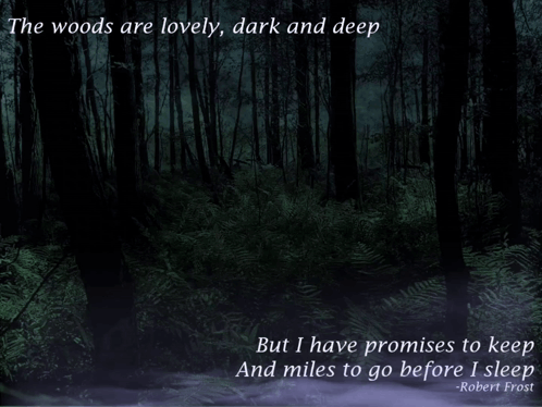 The Woods Are Lovely Dark And Deep And I Have Promises To Keep And Miles To Go Before I Sleep GIF