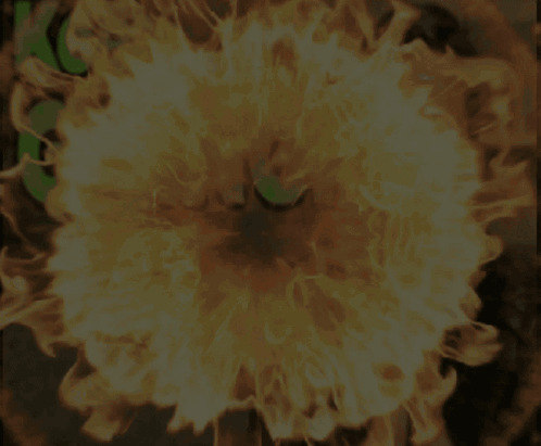 the word going is surrounded by fire