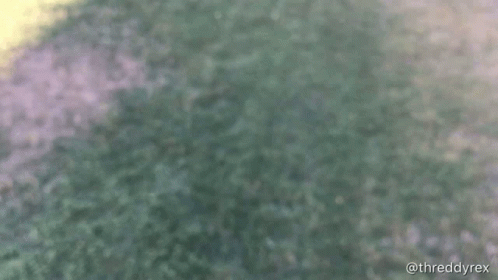 The Word Honk Is Displayed On A Blurred Background GIF