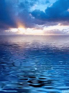The Word Laska Is On The Bottom Of A Photo GIF