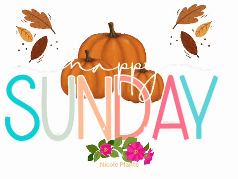 The Word Sunday Is On A White Background GIF