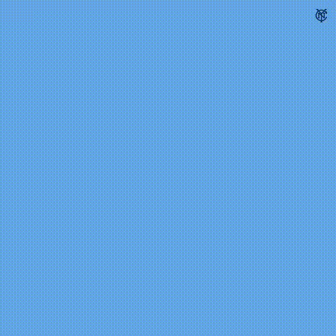 The Words Vamos Celeste Are On A Blue Background GIF
