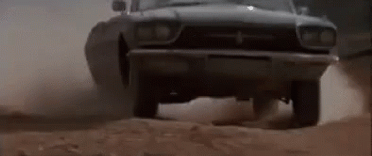 Thelma And Louise Friends Forever GIF