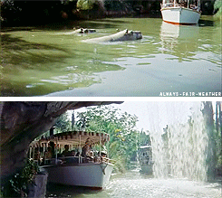Theme Park Hippo GIF
