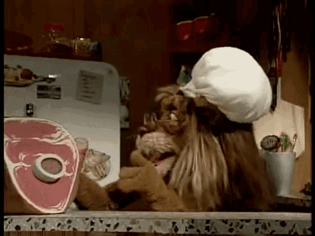Theo Lion Carrying Ham GIF