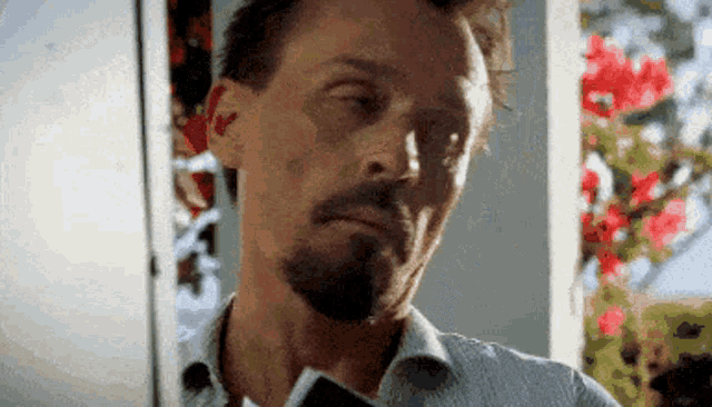 Theodore Bagwell Prison Break Gif GIF