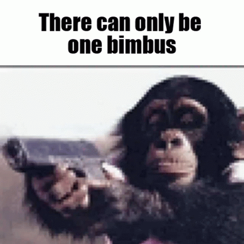 There Can Be Only One Bimbus Monkey GIF