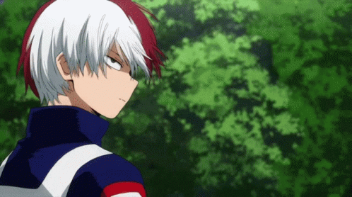 There Goes My Hero Shoto Todoroki GIF
