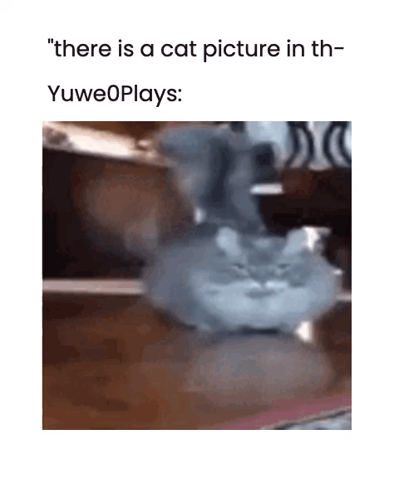 There Is A Cat Picture In Th Yuweoplays GIF
