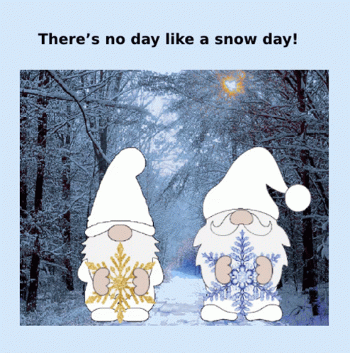 There's No Other Day Like Snowy Saturday GIF