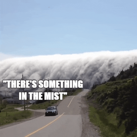 There's Something In The Mist GIF