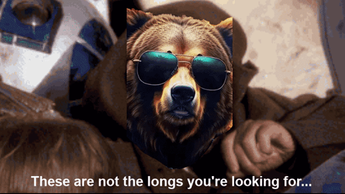 These Are Not The Droids You're Looking For Bear Face GIF