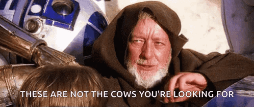 These Are Not The Droids You're Looking For Cows Meme GIF
