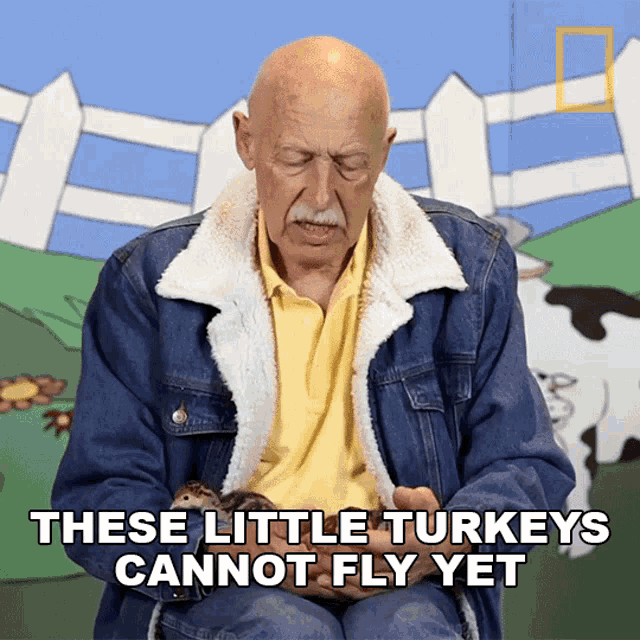These Little Turkey Cannot Fly Yet GIF