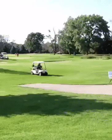They Are Ramped And Accident In Golf Cart GIF