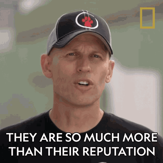 They Are So Much More Than Their Reputation Matt Beisner Gif GIF