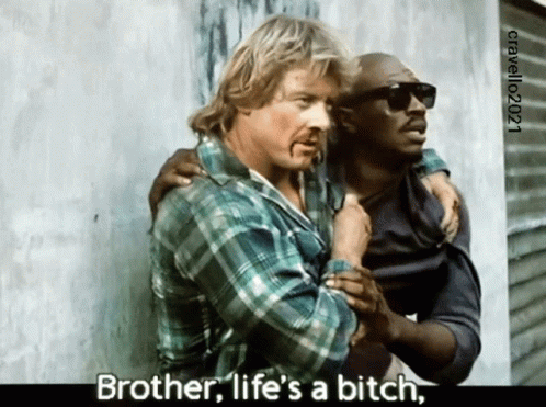 They Live 498 X 371 Gif GIF