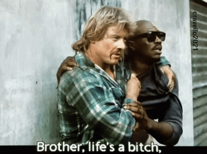 They Live GIF