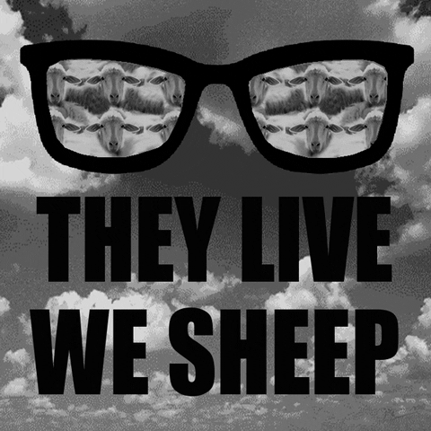 They Live We Sheep GIF