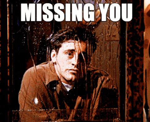 They Missed Missing You GIF