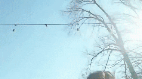 They Missed Pool Backflip GIF