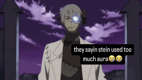 They Sayin Stein Used Too Much Aura On Screen GIF