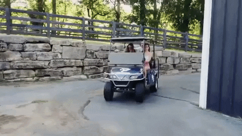 They Travel With The Golf Cart GIF