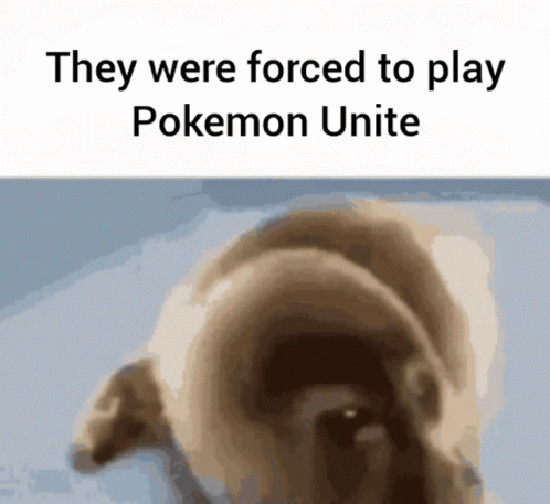 They Were Forced To Play Pokemon Unite With A Picture Of A Dog GIF