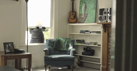 Thief Burglar Through Window GIF