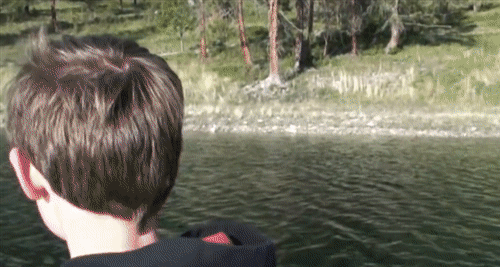 Thief Funny Eagle Fishing GIF