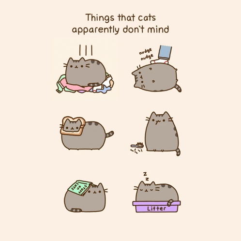 Things Cats Apparently Don't Mind