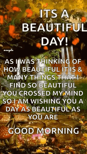 Thinking About Beautiful Day