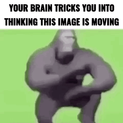 Thinking Meme Gorilla Chooses To Dance GIF