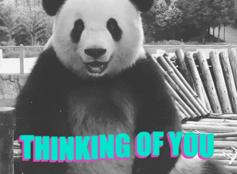 Thinking Of You Panda GIF