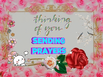 Thinking Of You Sending Prayers Roses Sparkles GIF