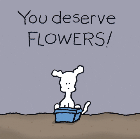 Thinking Of You Sympathy You Deserve Flowers GIF