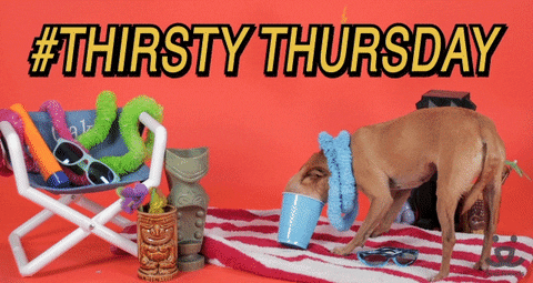 Thirsty Thursday Summer Dog GIF