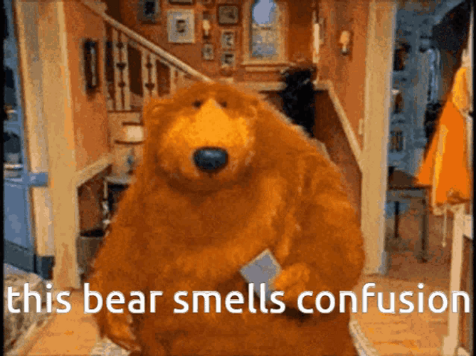 This Bear Smells Confusion GIF 